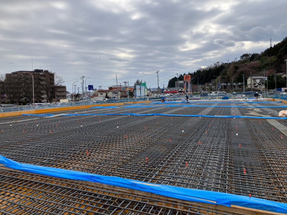 全景（3月29日撮影）